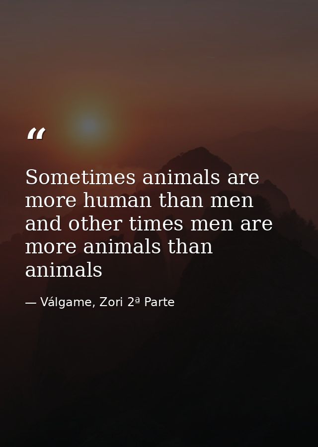 Sometimes animals are more human than men and other times men are more animals than animals — Válgame, Zori 2ª Parte