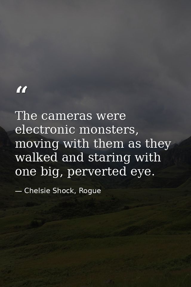 The cameras were electronic monsters, moving with them as they walked and staring with one big, perverted eye. — Chelsie Shock, Rogue