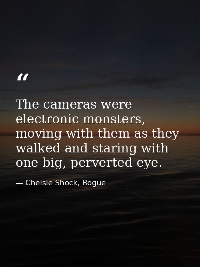 The cameras were electronic monsters, moving with them as they walked and staring with one big, perverted eye. — Chelsie Shock, Rogue