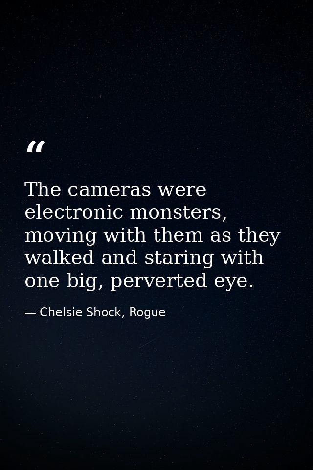 The cameras were electronic monsters, moving with them as they walked and staring with one big, perverted eye. — Chelsie Shock, Rogue