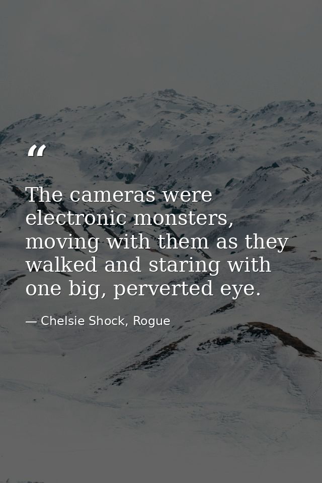 The cameras were electronic monsters, moving with them as they walked and staring with one big, perverted eye. — Chelsie Shock, Rogue