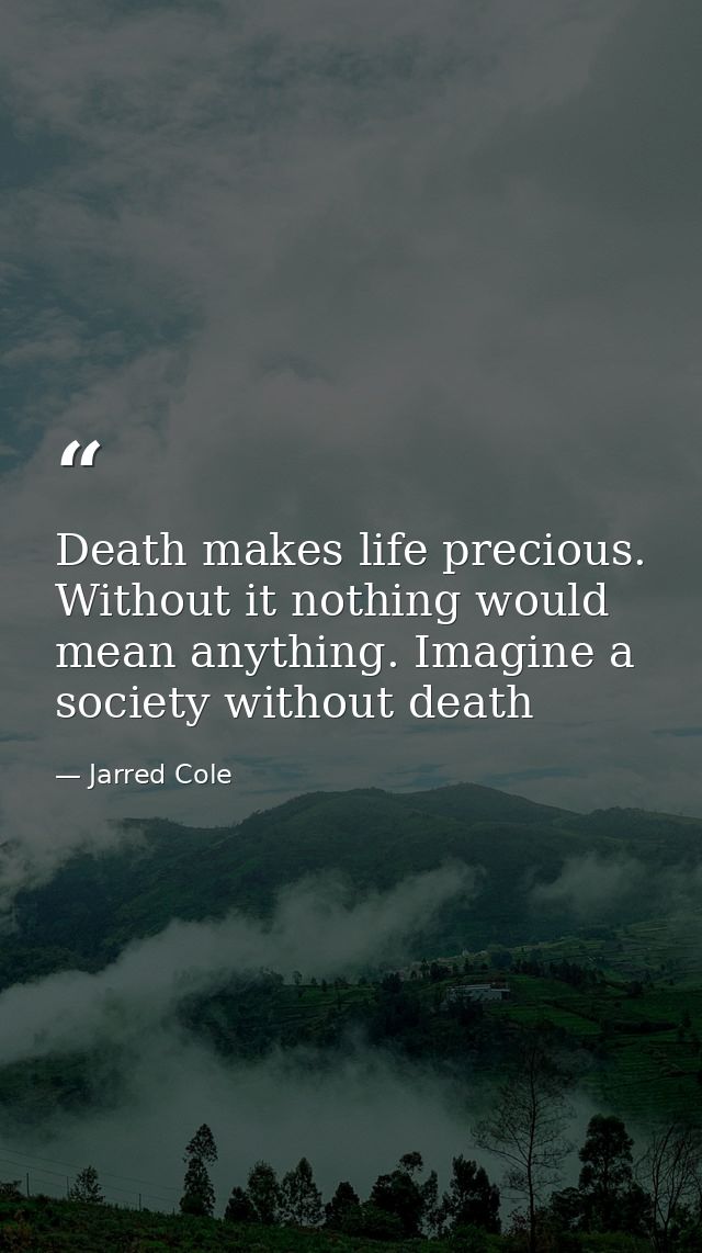 Death makes life precious. Without it nothing would mean anything. Imagine a society without death — Jarred Cole