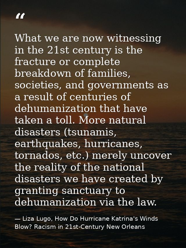 What we are now witnessing in the 21st century is the fracture or complete breakdown of families, societies, and governm — Liza Lugo, How Do Hurricane Katrina's Winds Blow? Racism in 21st-Century New Orleans