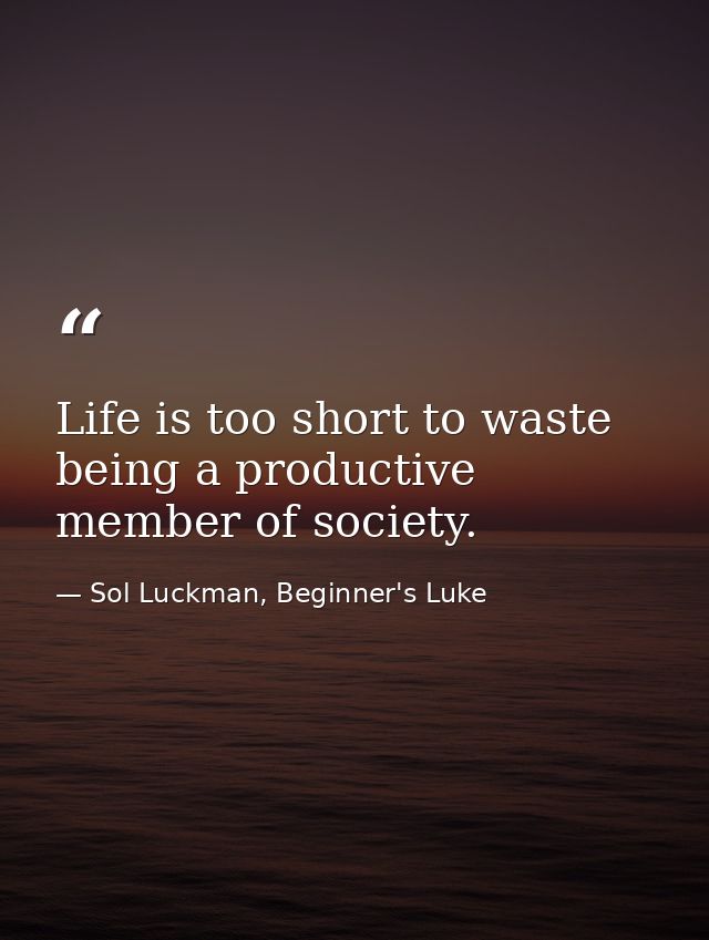 Life is too short to waste being a productive member of society. — Sol Luckman, Beginner's Luke