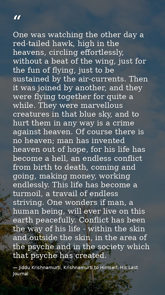 One was watching the other day a red-tailed hawk, high in the heavens, circling effortlessly, without a beat of the wing — Jiddu Krishnamurti, Krishnamurti to Himself: His Last Journal