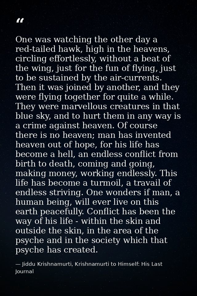 One was watching the other day a red-tailed hawk, high in the heavens, circling effortlessly, without a beat of the wing — Jiddu Krishnamurti, Krishnamurti to Himself: His Last Journal