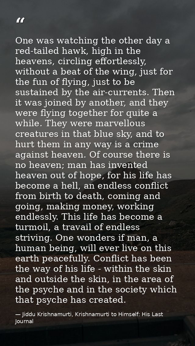 One was watching the other day a red-tailed hawk, high in the heavens, circling effortlessly, without a beat of the wing — Jiddu Krishnamurti, Krishnamurti to Himself: His Last Journal