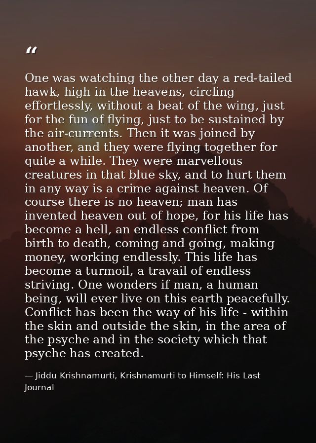 One was watching the other day a red-tailed hawk, high in the heavens, circling effortlessly, without a beat of the wing — Jiddu Krishnamurti, Krishnamurti to Himself: His Last Journal