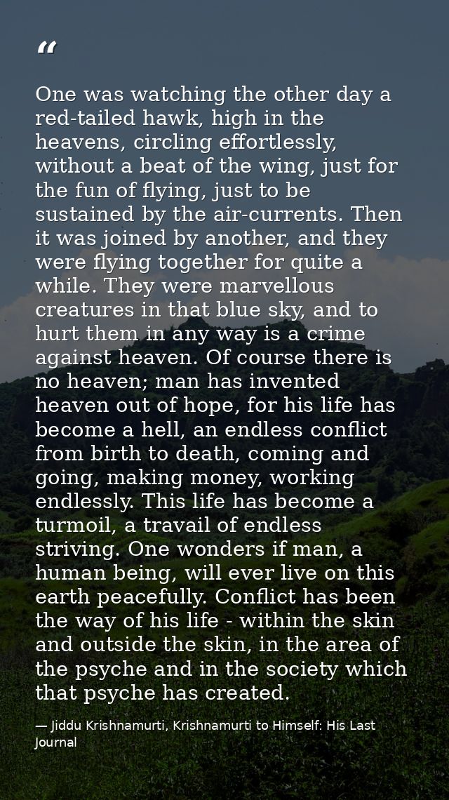 One was watching the other day a red-tailed hawk, high in the heavens, circling effortlessly, without a beat of the wing — Jiddu Krishnamurti, Krishnamurti to Himself: His Last Journal