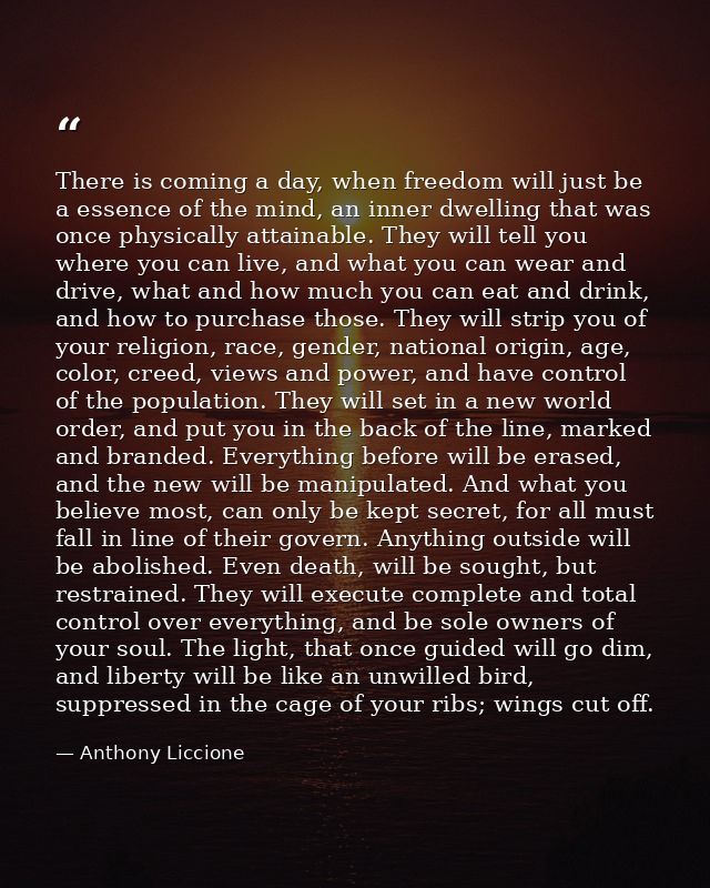 There is coming a day, when freedom will just be a essence of the mind, an inner dwelling that was once physically attai — Anthony Liccione