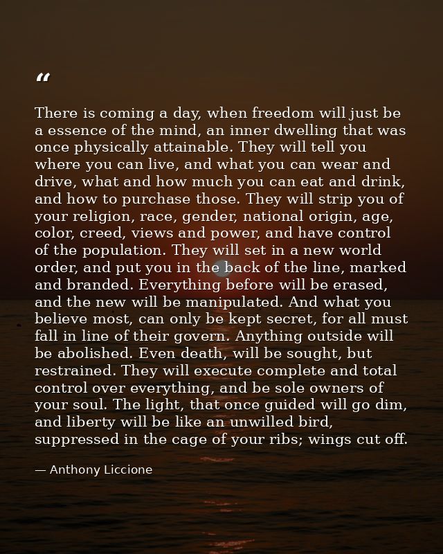 There is coming a day, when freedom will just be a essence of the mind, an inner dwelling that was once physically attai — Anthony Liccione