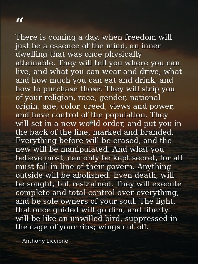 There is coming a day, when freedom will just be a essence of the mind, an inner dwelling that was once physically attai — Anthony Liccione