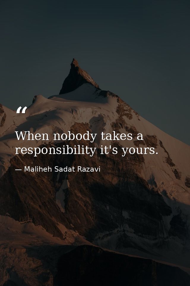 When nobody takes a responsibility it's yours. — Maliheh Sadat Razavi