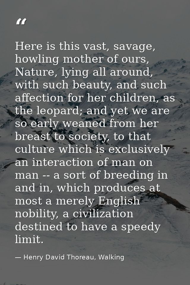 Here is this vast, savage, howling mother of ours, Nature, lying all around, with such beauty, and such affection for he — Henry David Thoreau, Walking