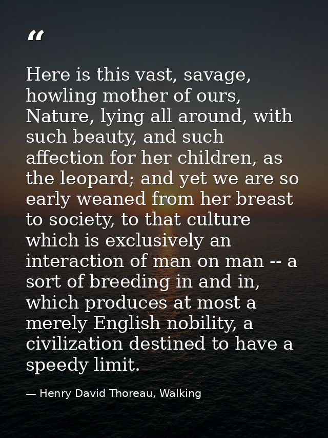 Here is this vast, savage, howling mother of ours, Nature, lying all around, with such beauty, and such affection for he — Henry David Thoreau, Walking