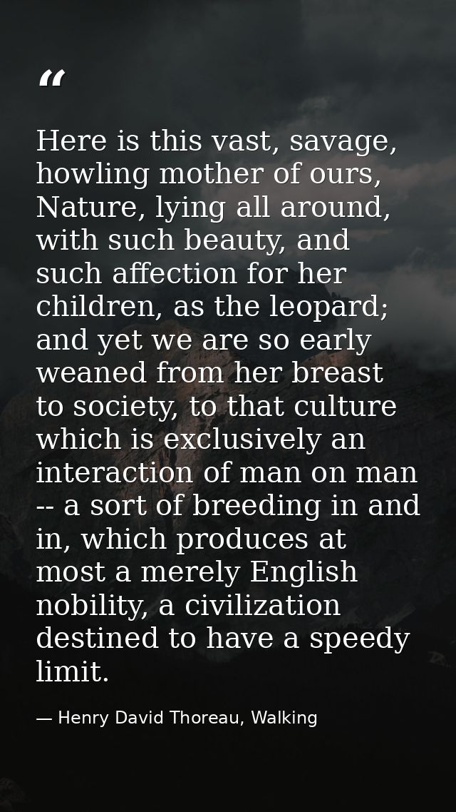 Here is this vast, savage, howling mother of ours, Nature, lying all around, with such beauty, and such affection for he — Henry David Thoreau, Walking
