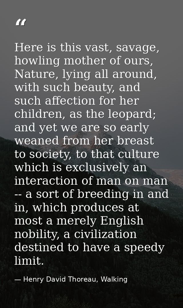 Here is this vast, savage, howling mother of ours, Nature, lying all around, with such beauty, and such affection for he — Henry David Thoreau, Walking