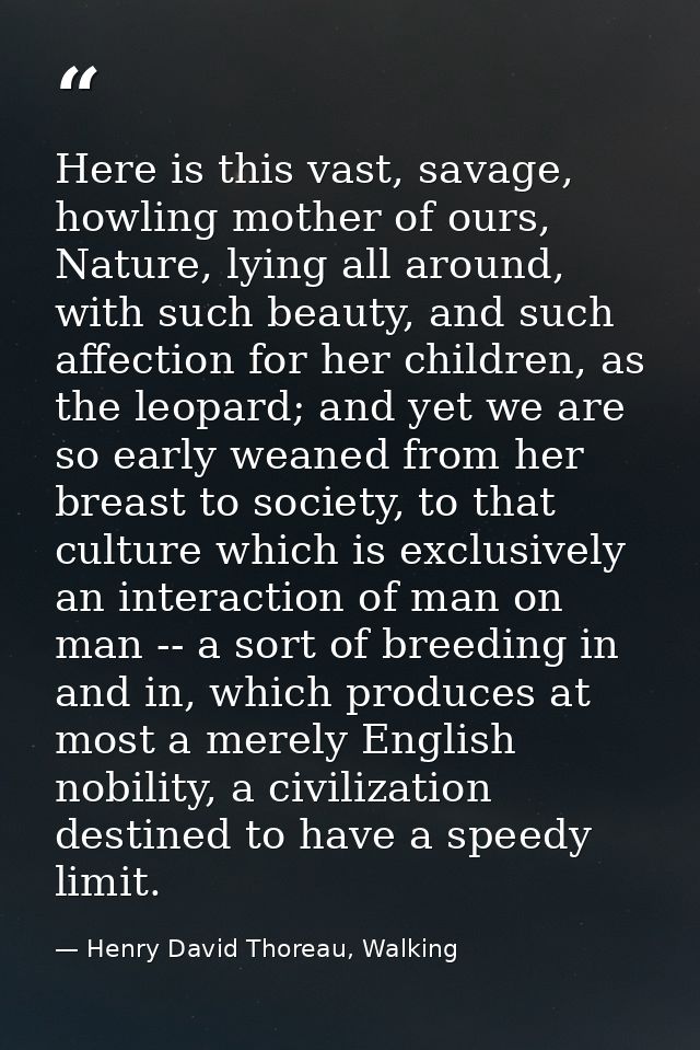 Here is this vast, savage, howling mother of ours, Nature, lying all around, with such beauty, and such affection for he — Henry David Thoreau, Walking