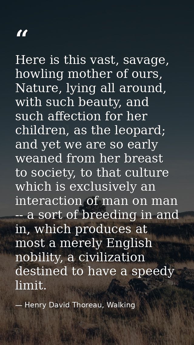 Here is this vast, savage, howling mother of ours, Nature, lying all around, with such beauty, and such affection for he — Henry David Thoreau, Walking