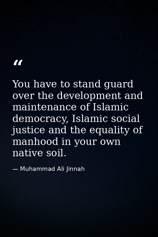 You have to stand guard over the development and maintenance of Islamic democracy, Islamic social justice and the equali — Muhammad Ali Jinnah