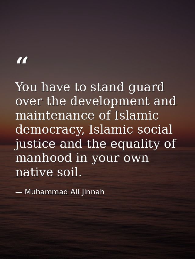 You have to stand guard over the development and maintenance of Islamic democracy, Islamic social justice and the equali — Muhammad Ali Jinnah