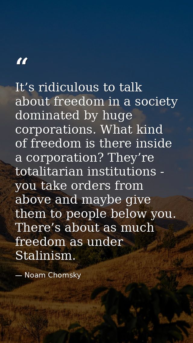 It’s ridiculous to talk about freedom in a society dominated by huge corporations. What kind of freedom is there inside  — Noam Chomsky