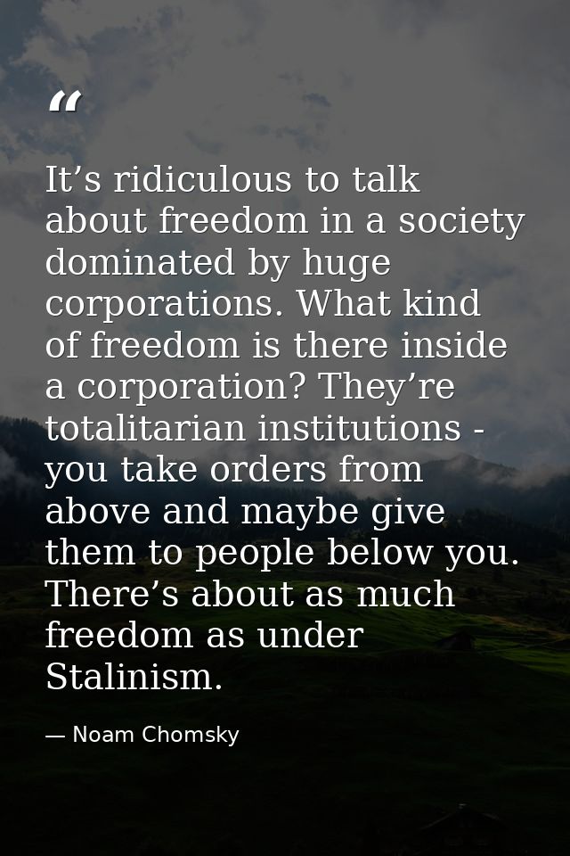 It’s ridiculous to talk about freedom in a society dominated by huge corporations. What kind of freedom is there inside  — Noam Chomsky