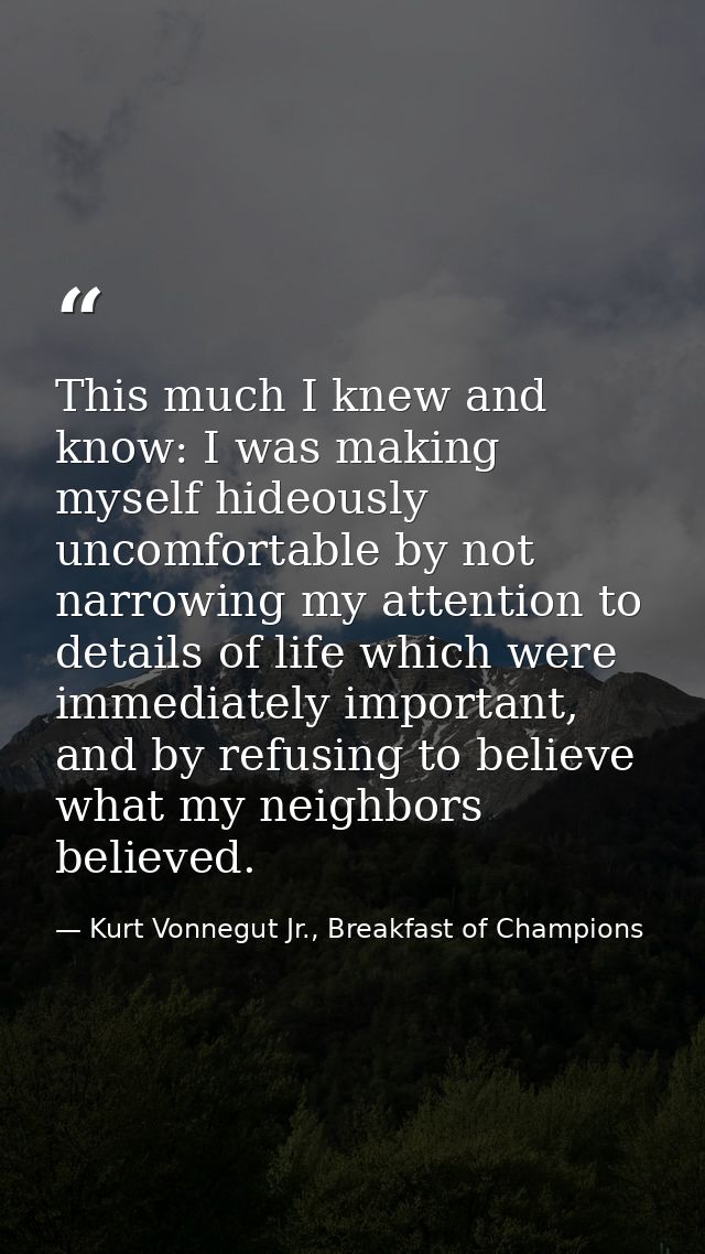 This much I knew and know: I was making myself hideously uncomfortable by not narrowing my attention to details of life  — Kurt Vonnegut Jr., Breakfast of Champions