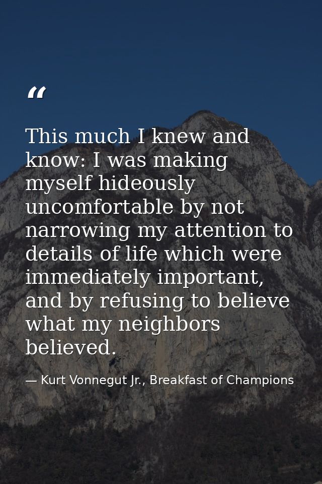 This much I knew and know: I was making myself hideously uncomfortable by not narrowing my attention to details of life  — Kurt Vonnegut Jr., Breakfast of Champions