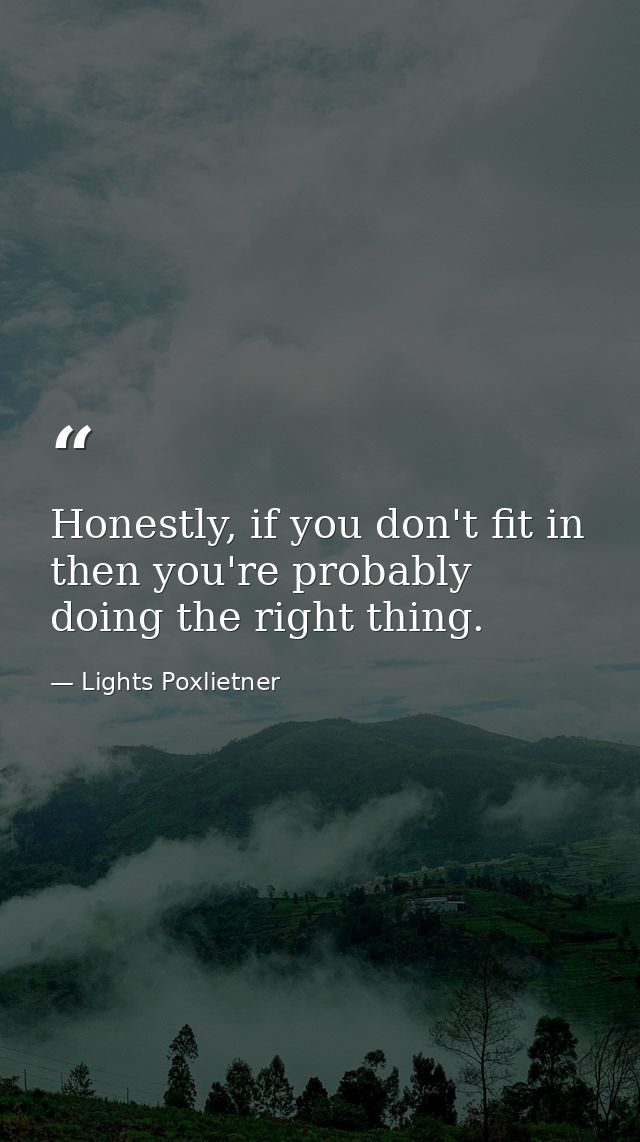 Honestly, if you don't fit in then you're probably doing the right thing. — Lights Poxlietner