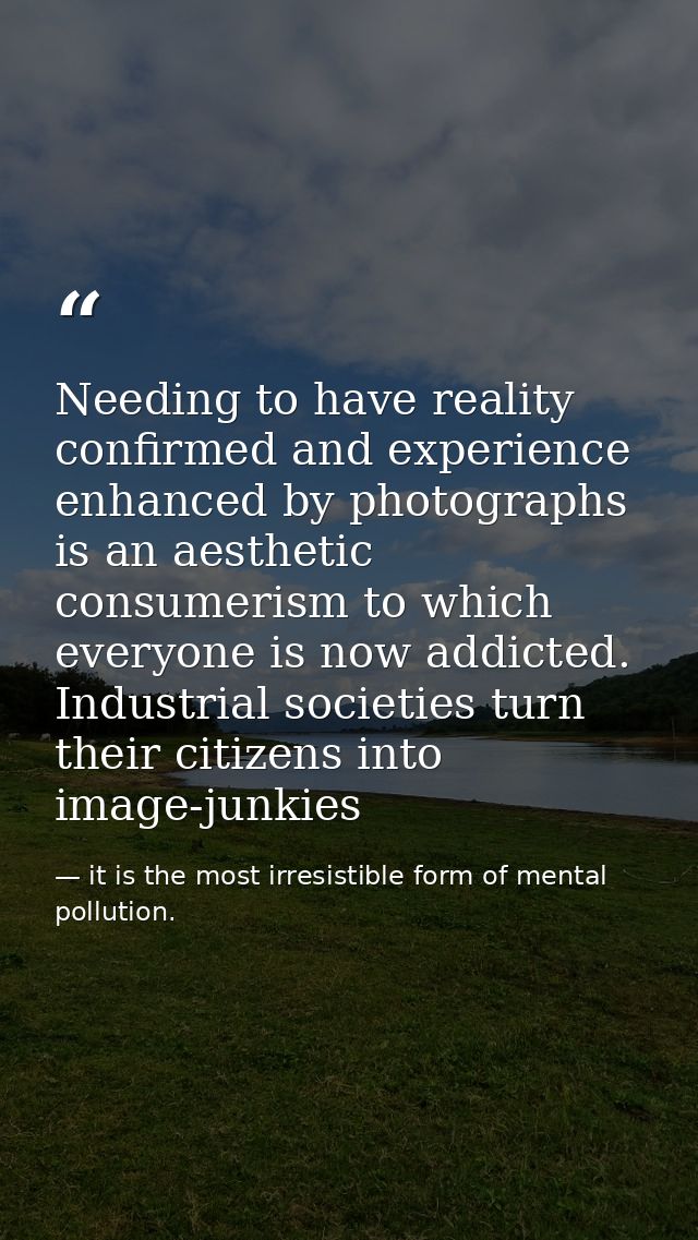 Needing to have reality confirmed and experience enhanced by photographs is an aesthetic consumerism to which everyone i — it is the most irresistible form of mental pollution.