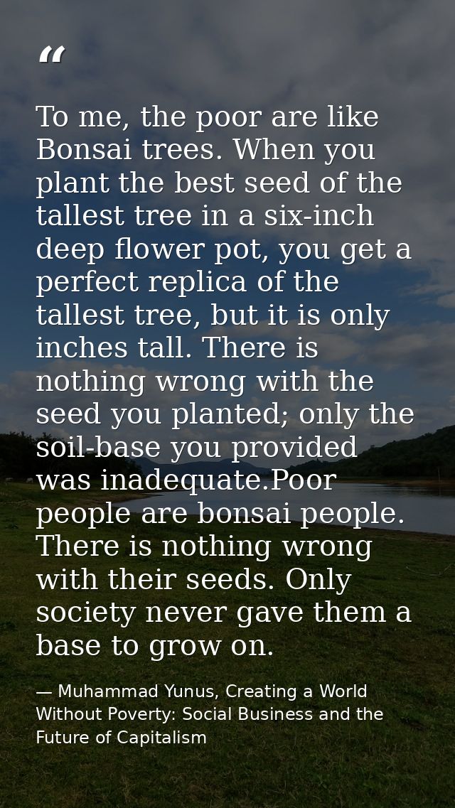 To me, the poor are like Bonsai trees. When you plant the best seed of the tallest tree in a six-inch deep flower pot, y — Muhammad Yunus, Creating a World Without Poverty: Social Business and the Future of Capitalism