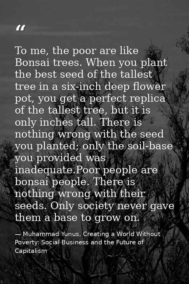 To me, the poor are like Bonsai trees. When you plant the best seed of the tallest tree in a six-inch deep flower pot, y — Muhammad Yunus, Creating a World Without Poverty: Social Business and the Future of Capitalism
