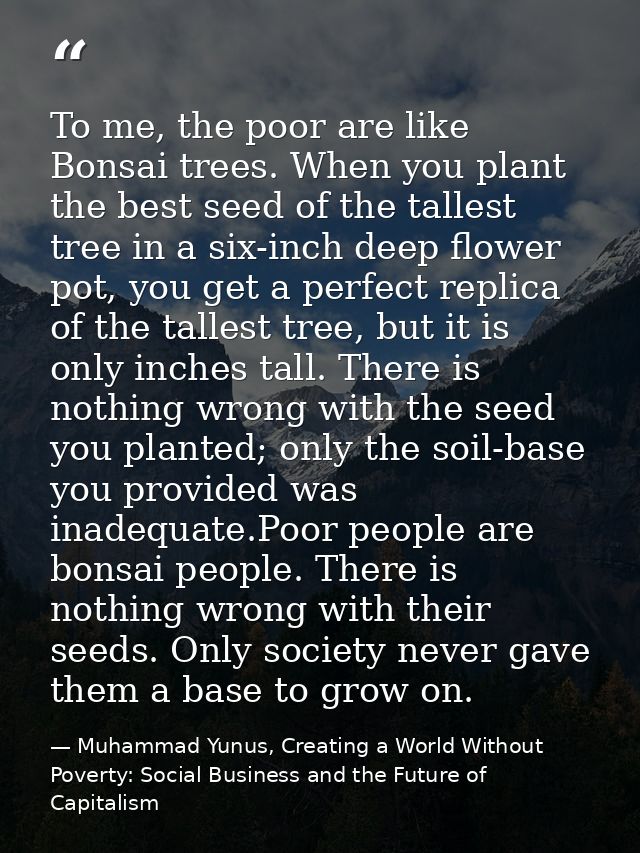 To me, the poor are like Bonsai trees. When you plant the best seed of the tallest tree in a six-inch deep flower pot, y — Muhammad Yunus, Creating a World Without Poverty: Social Business and the Future of Capitalism