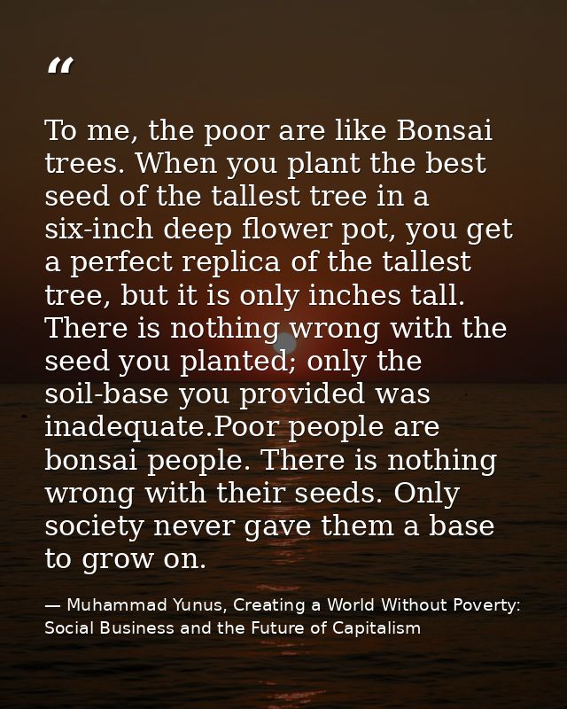 To me, the poor are like Bonsai trees. When you plant the best seed of the tallest tree in a six-inch deep flower pot, y — Muhammad Yunus, Creating a World Without Poverty: Social Business and the Future of Capitalism