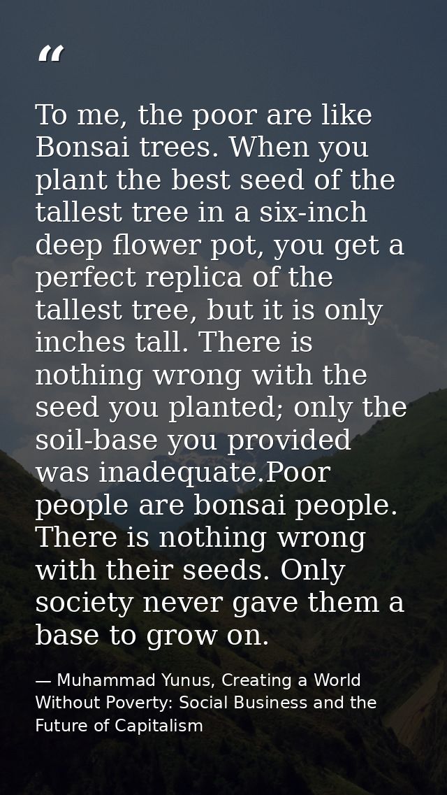 To me, the poor are like Bonsai trees. When you plant the best seed of the tallest tree in a six-inch deep flower pot, y — Muhammad Yunus, Creating a World Without Poverty: Social Business and the Future of Capitalism