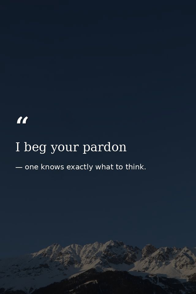 I beg your pardon — one knows exactly what to think.