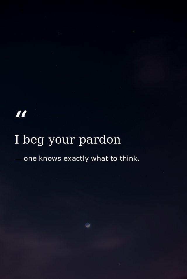 I beg your pardon — one knows exactly what to think.