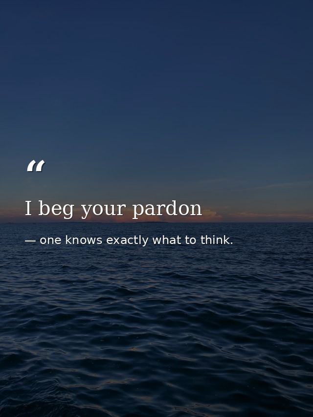 I beg your pardon — one knows exactly what to think.