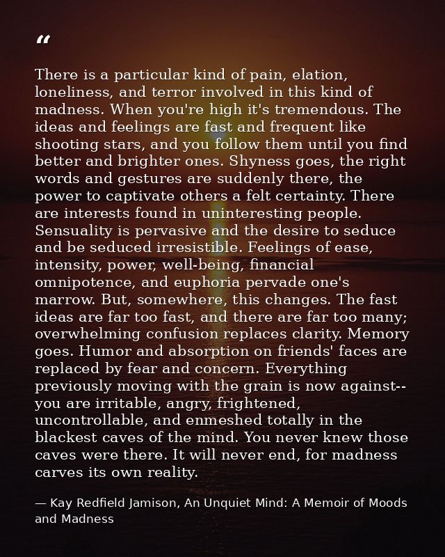 There is a particular kind of pain, elation, loneliness, and terror involved in this kind of madness. When you're high i — Kay Redfield Jamison, An Unquiet Mind: A Memoir of Moods and Madness