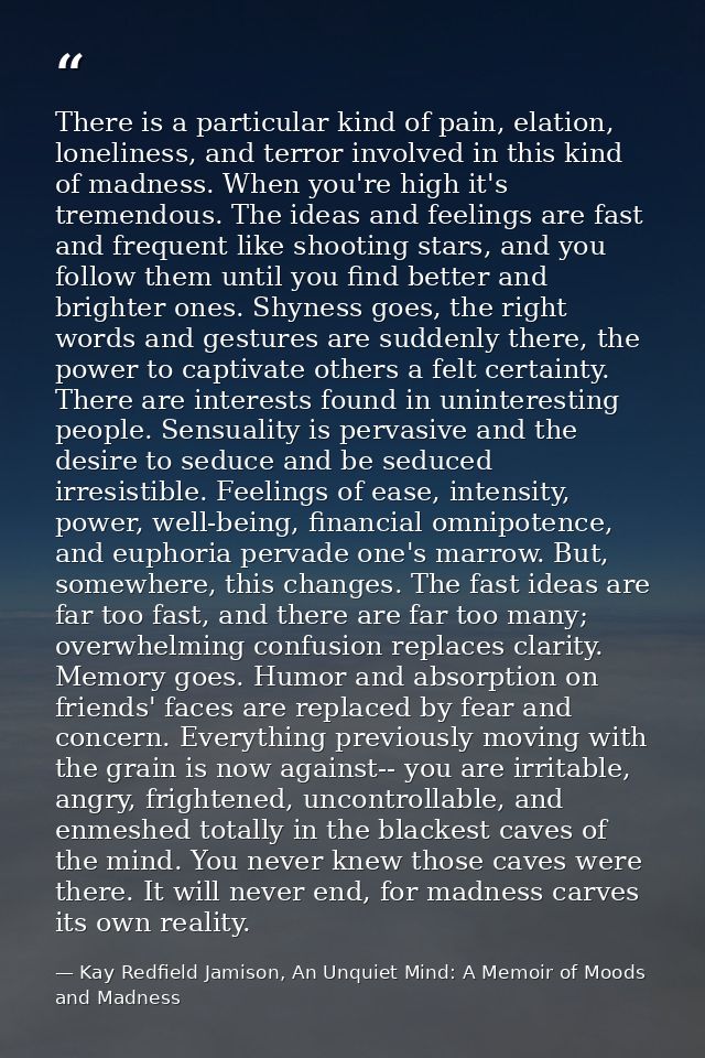 There is a particular kind of pain, elation, loneliness, and terror involved in this kind of madness. When you're high i — Kay Redfield Jamison, An Unquiet Mind: A Memoir of Moods and Madness