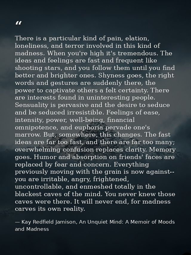 There is a particular kind of pain, elation, loneliness, and terror involved in this kind of madness. When you're high i — Kay Redfield Jamison, An Unquiet Mind: A Memoir of Moods and Madness