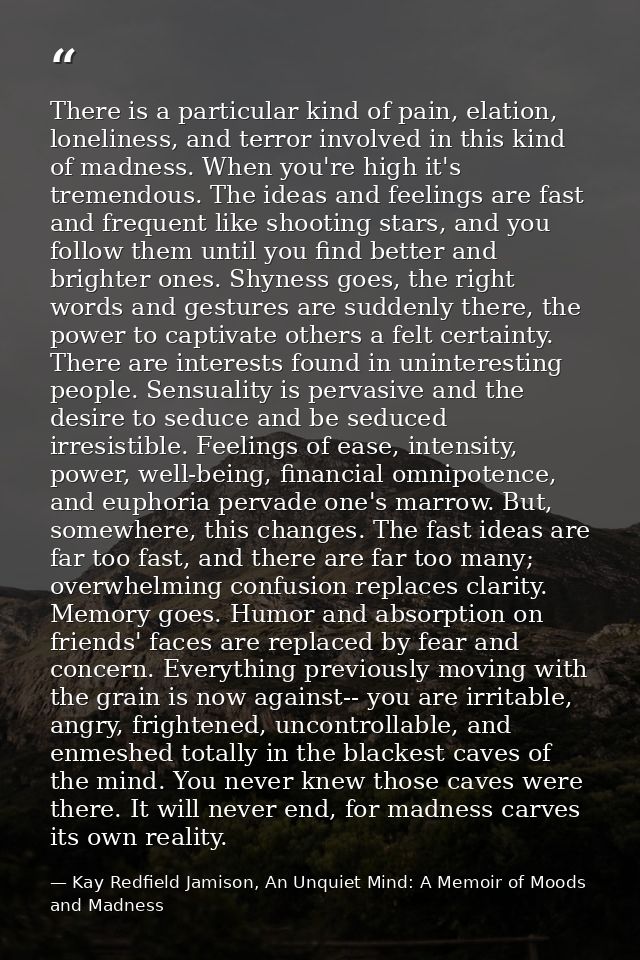 There is a particular kind of pain, elation, loneliness, and terror involved in this kind of madness. When you're high i — Kay Redfield Jamison, An Unquiet Mind: A Memoir of Moods and Madness