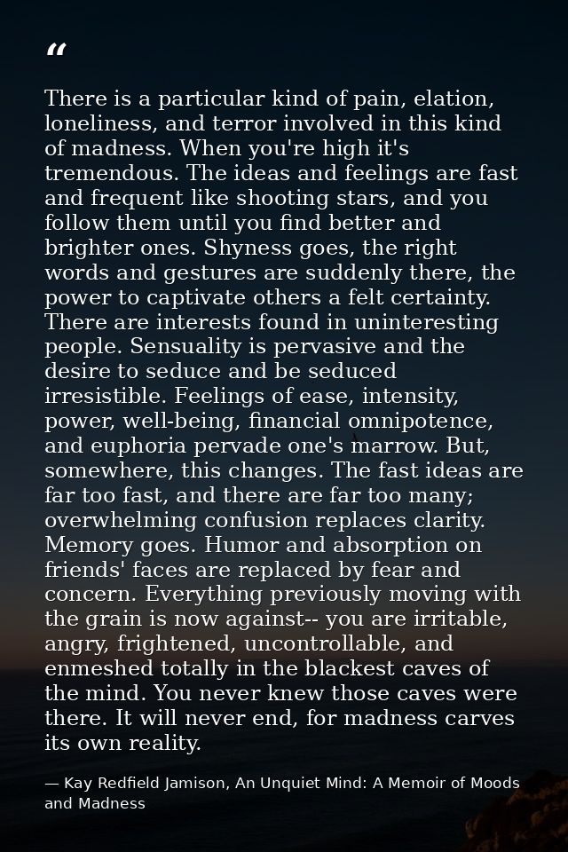 There is a particular kind of pain, elation, loneliness, and terror involved in this kind of madness. When you're high i — Kay Redfield Jamison, An Unquiet Mind: A Memoir of Moods and Madness
