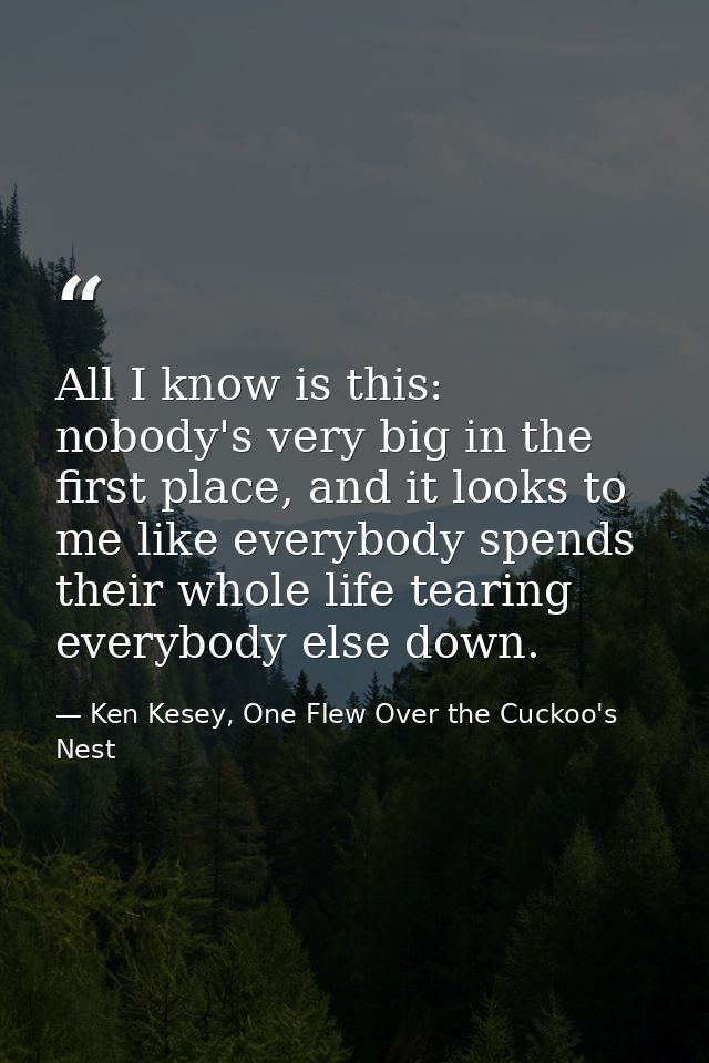 All I know is this: nobody's very big in the first place, and it looks to me like everybody spends their whole life tear — Ken Kesey, One Flew Over the Cuckoo's Nest