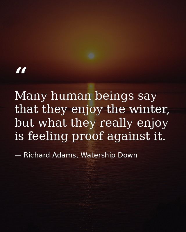 Many human beings say that they enjoy the winter, but what they really enjoy is feeling proof against it. — Richard Adams, Watership Down