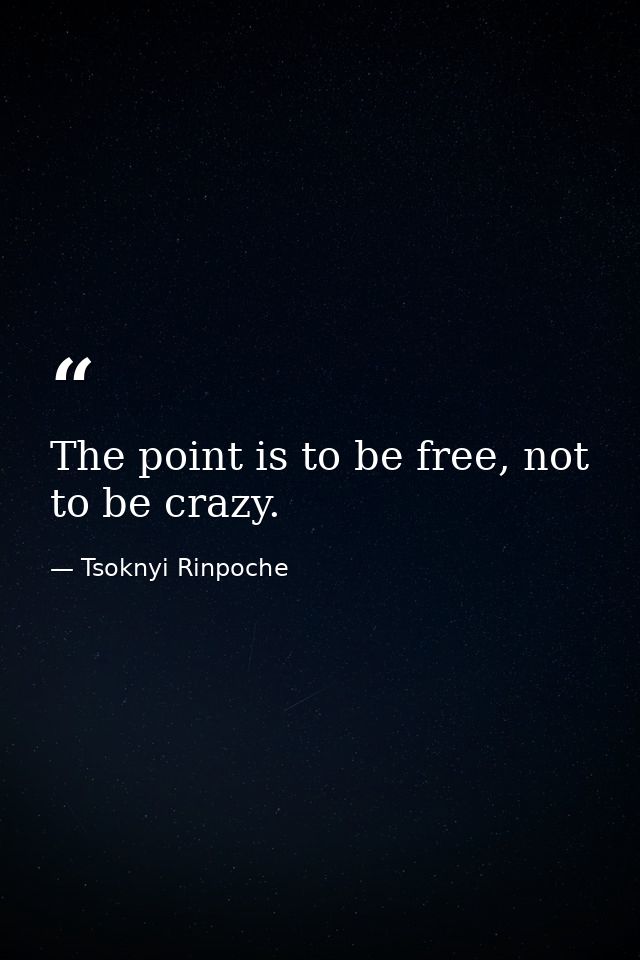 The point is to be free, not to be crazy. — Tsoknyi Rinpoche