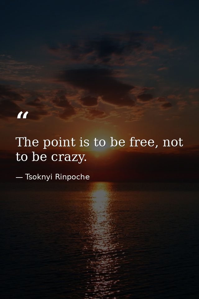 The point is to be free, not to be crazy. — Tsoknyi Rinpoche