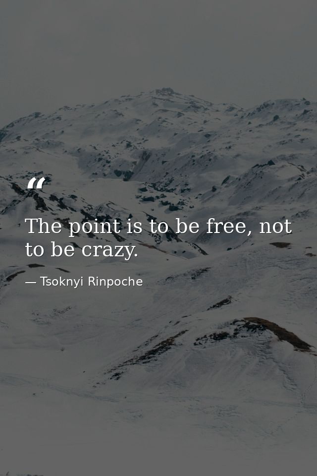 The point is to be free, not to be crazy. — Tsoknyi Rinpoche