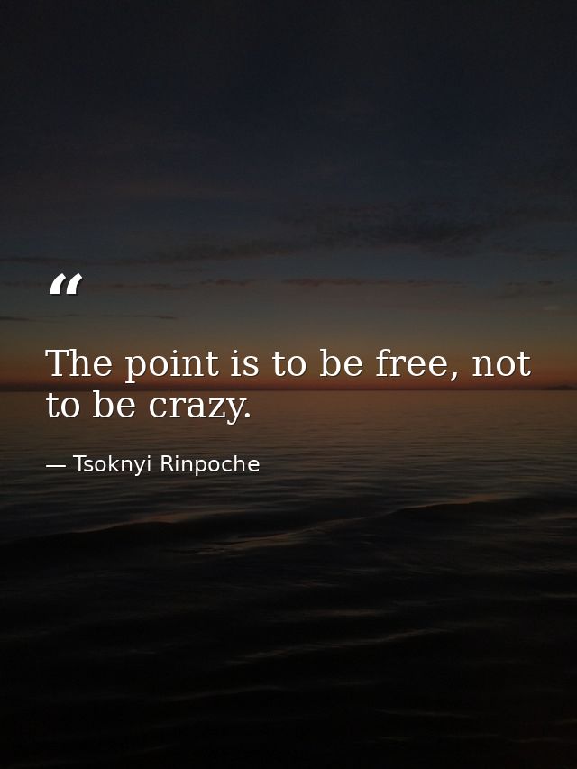The point is to be free, not to be crazy. — Tsoknyi Rinpoche